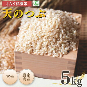 yӂ邳Ɣ[Łzys\zJASL@ V̂  5kg ߘa7NY | ቷ 5L JAS L@ V̂ R uh  Y {L@_