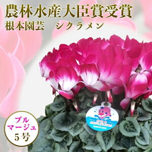 【ロスフラワー】おうちにお花を飾ってコロナ支援！通販で買える花農家さんを教えてください