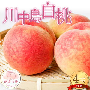 yӂ邳Ɣ[Łzy2026Noוs\zY 쒆 4ʓ (1kgȏ) ЃG[Abv G ɒB̓  t[c ʕ   momo F21C-077