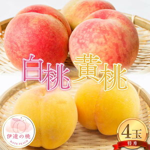 yӂ邳Ɣ[Łzy2026Noוs\zY Ɖ̓G 4ʓ (1.2kg) ЃG[Abv G ɒB̓  t[c ʕ   momo F21C-080