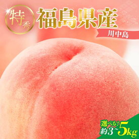 【ふるさと納税】2026年先行予約 糖度12度以上 特秀 福島県産 川中島白桃 約3kg 約5kg 内容量が選べる 透過式光センサー選別 数量限定 期間限定 桃 もも モモ 果物 くだもの フルーツ F20C-126var