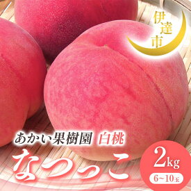【ふるさと納税】2025年出荷分 先行予約 福島県産 なつっこ 2kg 2025年8月上旬〜2025年8月中旬発送 先行予約 予約 伊達の桃 伊達市 桃 贈り物 贈答 ギフト もも モモ 果物 くだもの フルーツ 国産 食品 F21C-004