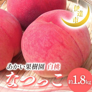 yӂ邳Ɣ[Łzy2026Noוs\zY Ȃ 1.8kg (6`10) ʎ  蕨  Mtg ɒB̓  t[c ʕ   momo F21C-004
