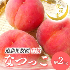 yӂ邳Ɣ[Łzy2026Noוs\zY Ȃ 2kg (5`9) ʎ 蕨  Mtg ɒB̓  t[c ʕ   momo F21C-006
