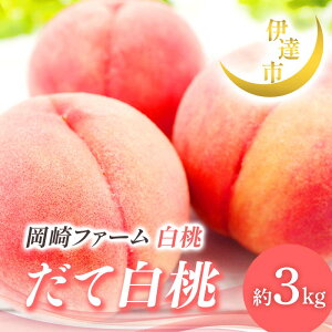 yӂ邳Ɣ[Łzy2026Noוs\zY Ĕ 3kg (6`10) t@[ 蕨  Mtg ɒB̓  t[c ʕ   momo F21C-007