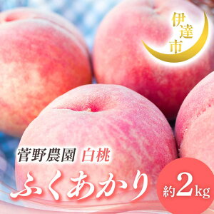 yӂ邳Ɣ[Łzy2026Noוs\zY ӂ 2kg (5`9) _FruitsProvider 蕨  Mtg ɒB̓ t[c ʕ   momo F21C-012