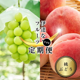 【ふるさと納税】＜2025年夏から開始の定期便＞伊達な小さなフル－ツ定期便（桃約1kg・ぶどう1房） 果物 フルーツ 桃 モモ 葡萄 ブドウ 福島県 伊達市 F21C-016
