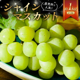 【ふるさと納税】2025年出荷 先行予約 直売所で人気のシャインマスカット約1kg(2～3房) フルーツ 果物 ぶどう マスカット デザート 福島県 伊達市 F21C-040