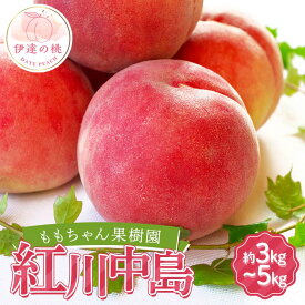 【ふるさと納税】＼選べる容量／【2026年出荷分先行予約】福島県産 紅川中島 約3kg 約5kg ももちゃん果樹園 自慢の桃 伊達の桃 桃 フルーツ 果物 もも モモ momo F21C-044var