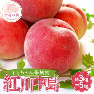 yӂ邳Ɣ[Łz_Iׂeʁ^y2026Noוs\zY g쒆 3kg 5kg ʎ ̓ ɒB̓  t[c ʕ   momo F21C-044var