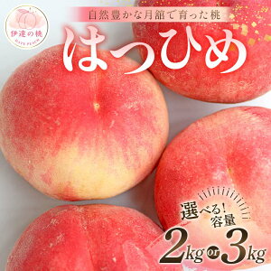 yӂ邳Ɣ[Łz_Iׂeʁ^y2026Noוs\zY ͂Ђ 2kg 3kg Xʎ RLȌڂň ɒB̓  t[c ʕ   momo F21C-048var