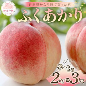 yӂ邳Ɣ[Łz_Iׂeʁ^y2026Noוs\zY ӂ 2kg 3kg Xʎ RLȌڂň ɒB̓  t[c ʕ   momo F21C-050var