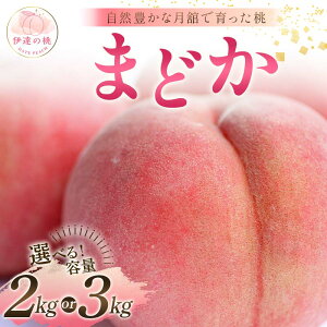 yӂ邳Ɣ[Łz_Iׂeʁ^y2026Noוs\zY ܂ǂ 2kg 3kg Xʎ RLȌڂň ɒB̓  t[c ʕ   momo F21C-054var