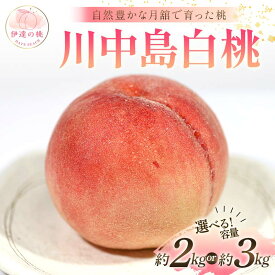 【ふるさと納税】＼選べる容量／【2026年出荷分先行予約】福島県産 川中島白桃 約2kg 約3kg 森果樹園 自然豊かな月舘で育った桃 伊達の桃 桃 フルーツ 果物 もも モモ momo F21C-056var