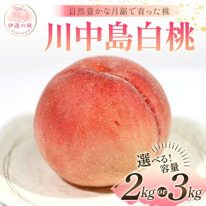 yӂ邳Ɣ[Łz_Iׂeʁ^y2026Noוs\zY 쒆 2kg 3kg Xʎ RLȌڂň ɒB̓  t[c ʕ   momo F21C-056var