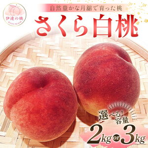 yӂ邳Ɣ[Łz_Iׂeʁ^y2026Noוs\zY 甒 2kg 3kg Xʎ  ł ɒB̓  t[c ʕ   momo F21C-062var