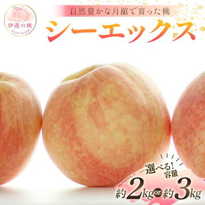 yӂ邳Ɣ[Łz_Iׂeʁ^y2026Noוs\zY V[GbNX 2kg 3kg Xʎ RLȌڂň ɒB̓  t[c ʕ   momo F21C-230var