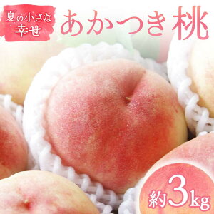 yӂ邳Ɣ[Łzy2026Noוs\zY  3kg (9`12) ̓_ƃyVFG Ă̏ȍK ɒB̓  ̓_ƃyVFGt[c ʕ   momo F21C-067