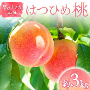 yӂ邳Ɣ[Łzy2026Noוs\zY ͂Ђ 3kg (9`12) ̓_ƃyVFG Ă̏ȍK ɒB̓  t[c ʕ   momo F21C-068