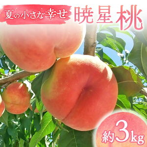 yӂ邳Ɣ[Łzy2026Noוs\zY Ő 3kg (9`12) ̓_ƃyVFG Ă̏ȍK ɒB̓  t[c ʕ   momo F21C-070