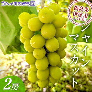 yӂ邳Ɣ[Łz12I VC}XJbg 2[ (1.2`1.4kg) ʕ  t[c Y Y Hi F21C-116