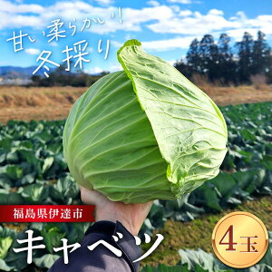 yӂ邳Ɣ[Łz Â_炩I~̂LxcI 4 (5kg) F21C-117