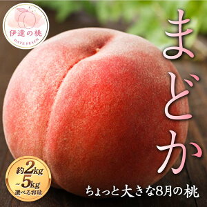 yӂ邳Ɣ[Łz_Iׂeʁ^y2026Noוs\zY ܂ǂ (g) 2kg 3kg 5kg r Ƒ傫8̓ ɒB̓  t[c ʕ   momo F21C-119var