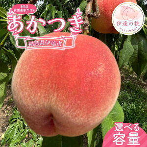 yӂ邳Ɣ[Łz_Iׂeʁ^y2026Noוs\zY  3kg 5kg _ 3ڂ̏̔_Ƃ铍  ɒB̓  t[c ʕ   momo F21C-128var