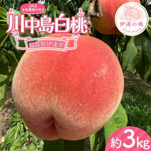 yӂ邳Ɣ[Łzy2026Noוs\zY 쒆 3kg (8`12) _ 3ڂ̏̔_Ƃ铍 ɒB̓  t[c ʕ   momo F21C-130