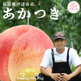 【ふるさと納税】＼選べる容量／【2026年出荷分先行予約】福島県産 あかつき 約2kg 約3kg KING OF PEACHESS 伊達の桃 桃 フルーツ 果物 もも モモ momo F21C-131var
