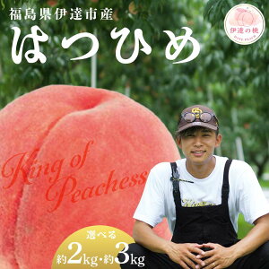 yӂ邳Ɣ[Łz_Iׂeʁ^y2026Noוs\zY ͂Ђ 2kg 3kg KING OF PEACHESS LOIus[` ɒB̓  t[c ʕ   momo F21C-133var