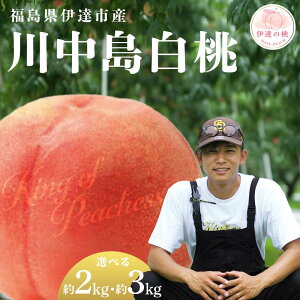 yӂ邳Ɣ[Łz_Iׂeʁ^y2026Noוs\zY 쒆 2kg 3kg KING OF PEACHESS ɒB̓  t[c ʕ   momo F21C-145var