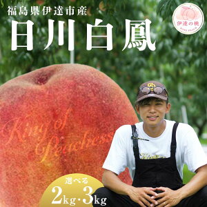 yӂ邳Ɣ[Łz_eʂIׂ^y2026Noוs\zY 씒P 2kg 3kg KING OF PEACHESS LOIus[` ɒB̓  t[c ʕ   momo F21C-147var
