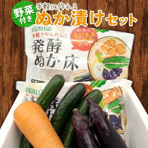 【ふるさと納税】野菜付き!手軽に作れるぬか漬けセット ぬか漬け 漬物 漬け物 野菜 手作り F21C-179