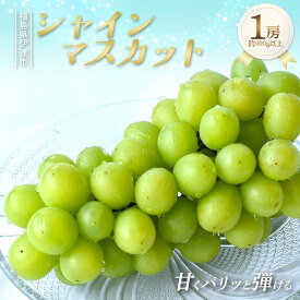【ふるさと納税】甘くパリッと弾ける シャインマスカット 約600g以上 1房 果物 ぶどう マスカット デザート 福島県 伊達市 F21C-421