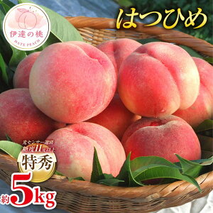 yӂ邳Ɣ[Łzy2026Noוs\zY ͂Ђ 5kg (18`22) ӂܖ_Ƌg G ߎZT[I x11xȏ ɒB̓  t[c ʕ   momo F20