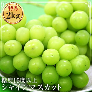 yӂ邳Ɣ[Łz ɒBsY VC}XJbg G 2kgȏ 3~4[ F20C-128