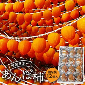 【ふるさと納税】伊達市発祥の特産品 あんぽ柿(蜂屋柿) 12個入 平箱