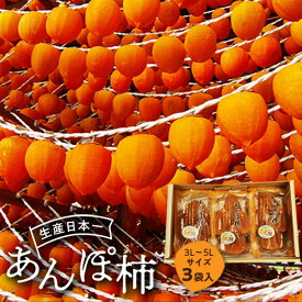 【ふるさと納税】伊達市発祥の特産品 あんぽ柿(蜂屋柿) 3個入 F20C-130