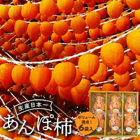 【ふるさと納税】伊達市発祥の特産品 あんぽ柿(蜂屋柿) 6個入 F20C-132