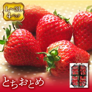 yӂ邳Ɣ[Łzqs\r ɒBsY  (ƂƂ3L`LTCY) 4pbN F20C-133