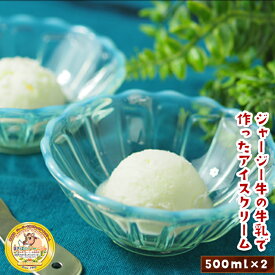 【ふるさと納税】ジャージー牛乳使用 まきばのジャージーアイス 500ml×2 (絶品ミルク) 福島県 伊達市 東北 ミルクアイス アイスクリーム 濃厚 F20C-145