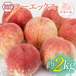 yӂ邳Ɣ[Łzy2026Noוs\zY V[GbNX 2kg (5`7)   ɒB̓  t[c ʕ   momo F21C-229