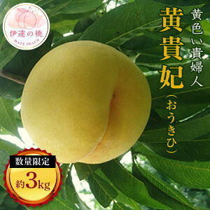 yӂ邳Ɣ[Łzy2026Noוs\zY M 3kg (11`13) LЎu ʌ ɒB̓  t[c ʕ   momo F20C-158