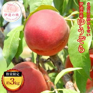 yӂ邳Ɣ[Łzy2026Noוs\zY 䂤 3kg (11`13) LЎu ʌ  ł ɒB̓  t[c ʕ   momo F20C-160