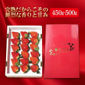 【ふるさと納税】 プレミアムいちご 約450g〜500g(12粒〜15粒) F20C-174