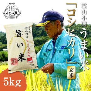 【ふるさと納税】 JGAP認証 新米 令和7年産米 霊山小国うまい米 コシヒカリ 5kg 玄米 F20C-260