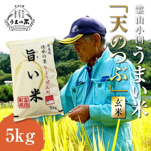 【ふるさと納税】 JGAP認証 新米 令和7年産米 霊山小国うまい米 天のつぶ 5kg 玄米 F20C-261