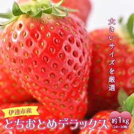 【ふるさと納税】伊達市産 とちおとめデラックス 約1kg (24〜30粒) いちご イチゴ 苺 F20C-276