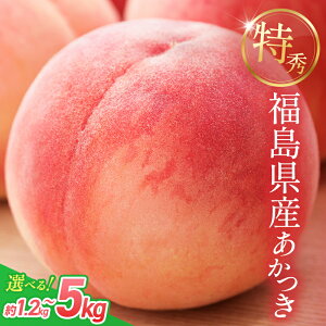 yӂ邳Ɣ[Łz2026Ns\ x12xȏ G Y   1.2kg 3kg 5kg eʂIׂ ߎZT[I ʌ Ԍ    ʕ  t[c F